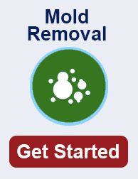 mold remediation in Mukilteo